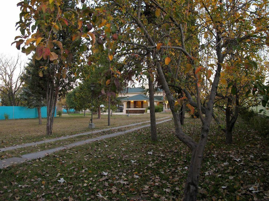 Villa Los Sauces Чакрас де Кория Екстериор снимка